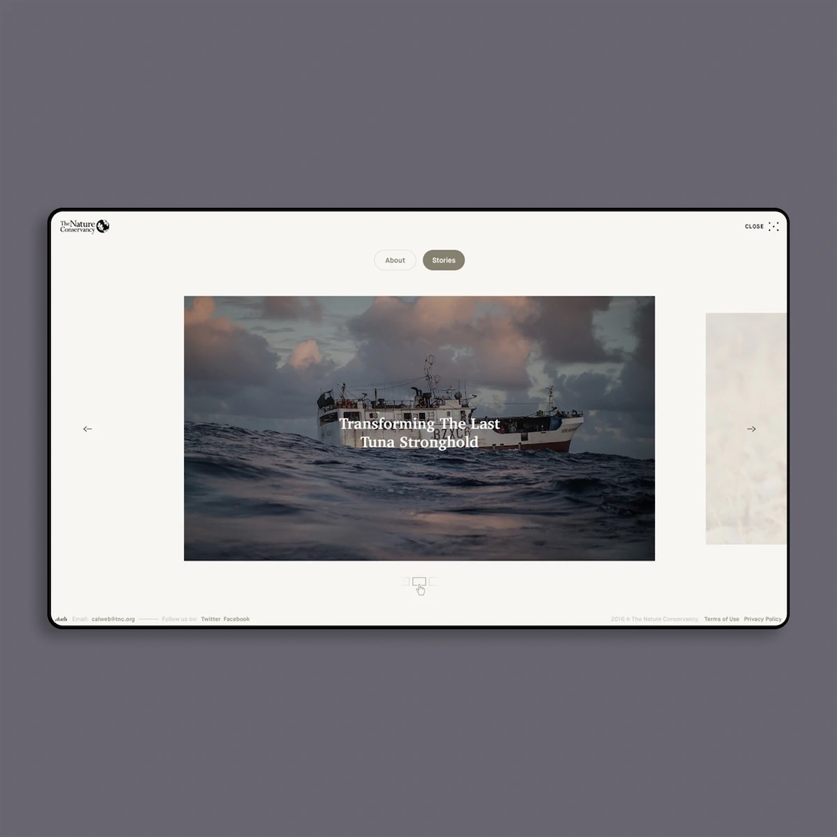 The Nature Conservancy